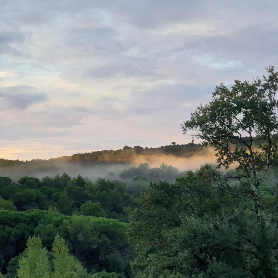 Charmant Studio Proche Lac Et Foret Carcassonne Exteriér fotografie